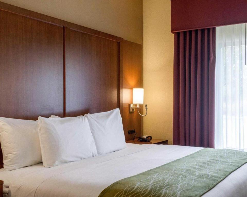 Comfort Suites Starkville Kültér fotó